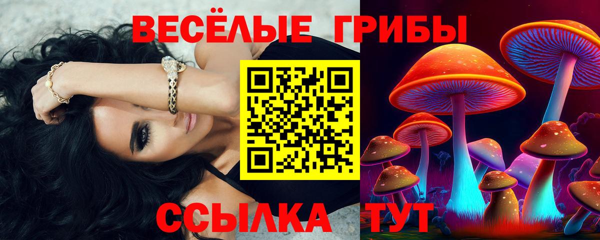 Псилоцибиновые грибы мицелий  Вход с VPN  Елец 